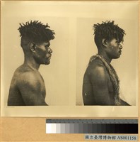 藏品(新喀里多尼亞群島男子側面像)的圖片